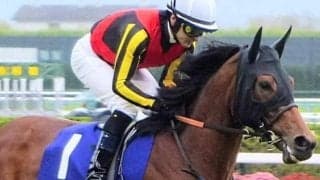 一族に重賞馬ズラリ ブレイディヴェーグの半妹が待望の初陣