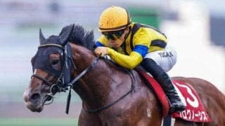 【金鯱賞想定馬・騎手】プログノーシス、デシエルトなど10頭