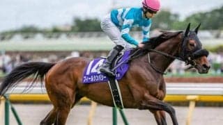 中山芝は内＆前有利 フィールシンパシーが高配の使者になるか