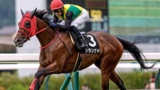 【中山牝馬S予想】父サンデー系とミスプロ系に良績が集中！ 父ノーザンダンサー系は前走のレース格や着順に注意