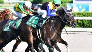 明け8歳となった三冠牝馬アパパネの仔 大阪城Sで2年ぶりの白星狙う