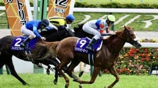 テンハッピーローズの引退…繁殖入り