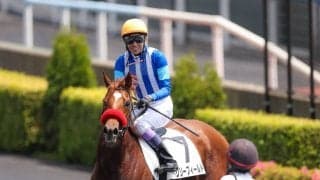 武豊騎手 今週の騎乗馬…フィリーズレビューでリリーフィールドとのコンビ