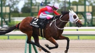 永島まなみ騎手が中山牝馬Sに参戦