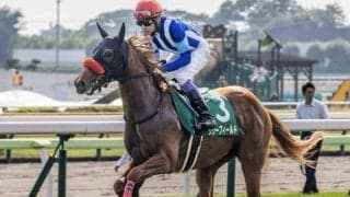 【今日の注目ポイント】阪神でフィリーズレビューと中山で中山牝馬S