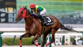 【中山牝馬S予想】ハンデ戦だけに波乱警戒 立ち回りのうまさが問われる一戦