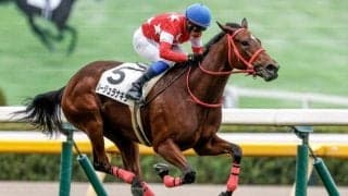 【フィリーズレビュー予想】桜花賞TRだが本番には直結しにくい一戦 内回り1400mへの適性がカギ