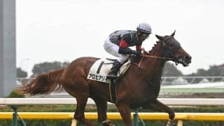 【競馬予想】弥生賞の注目はドゥラメンテ、キタサンブラック産駒　牝系や配合から出世レースを読み解く