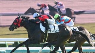 【競馬予想】弥生賞は重賞馬不在で波乱必至　穴党記者が推奨する激アツな２頭