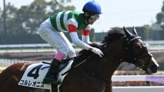 半姉に名牝ハープスター持つ良血 千里山特別で連勝なるか