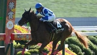 【フィリーズレビュー】内回りは内＆前の組に分があるか リリーフィールドなどが狙い目に