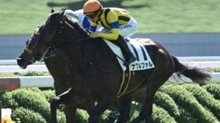 【弥生賞予想】中山芝2000mは大型馬には不向きなコース!? 前走のパフォーマンスを鵜呑みにしづらい人気馬とは