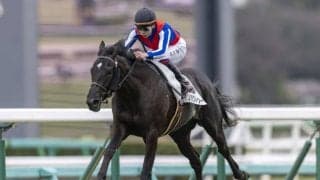 【中山5R】断然人気インパクトシーが4馬身差快勝