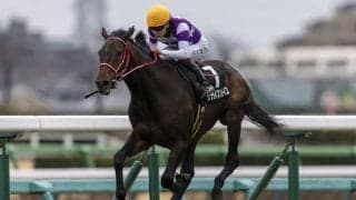 【潮来特別】良血サンライズソレイユが人気に応える