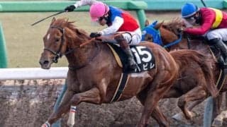 中山ダートはストームキャット系を重視 総武Sはハビレを信頼