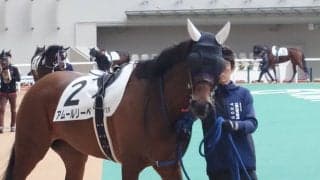 【阪神12R】4歳未勝利馬が2勝クラスで仰天の初勝利…アムールリーベがまさかの差し切りV