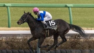 【上総S】ロードクロンヌが4連勝でオープン入り