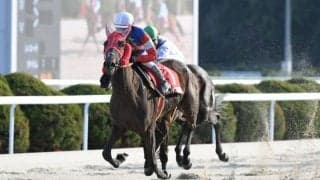 【地方競馬】木之前葵が暫定1位…レディスジョッキーズシリーズ2025