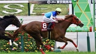アドマイヤベルの競走馬登録抹消…繁殖入り