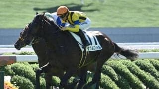 【今日の注目ポイント】クラシックへの登竜門・弥生賞ディープインパクト記念