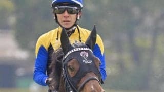 半兄に重賞勝ち馬3頭 名繁殖クロウキャニオンの仔がきょうだい15頭目の勝ち上がり狙う