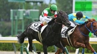 【弥生賞予想】皐月賞と同舞台で争われる重要ステップ 歴代勝ち馬にはのちのスターホース多数