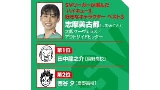 【ハイキュー‼×SVリーグ】大阪マーヴェラス志摩美古都を成長させた勝利と敗北　「この人みたいになりたい」『ハイキュー‼』キャラは？