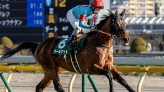 得意の1800mでOP初勝利へ 大阪城SにGI・2勝馬ショウナンパンドラの半弟参戦