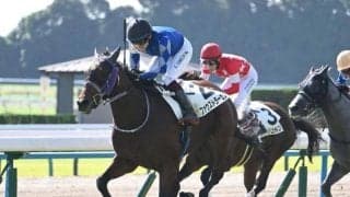 【弥生賞予想】狙える「枠」「前走」「脚質」は？ 過去データから探るGII弥生賞