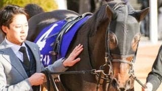 【弥生賞】馬場は内外フラットか 時計も少しかかり気味 軸はミュージアムマイルがベスト