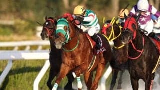【船橋・京成盃グランドマイラーズ枠順】前走でダートグレード競走制覇のフォーヴィスムは8枠9番