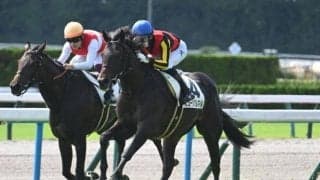 【弥生賞・馬体重】ミュージアムマイルは502kg(+8)、ヴィンセンシオは516kg(+10)