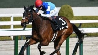 【アルメリア賞結果】テレサが人気に応えて逃げ切り勝ち