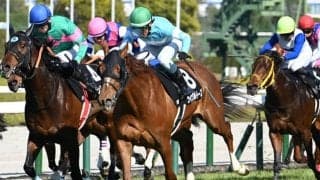 【JRA・WIN5】本日のWIN5は的中21票、配当2827万6550円