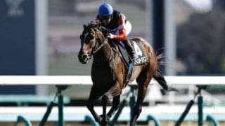 【湾岸S】良血スティンガーグラスがオープン入り