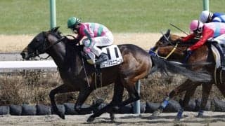 【中山6R】9番人気マサノユニコーンが2連勝