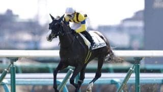 【中山5R】ルナルーチェットが7馬身差圧勝