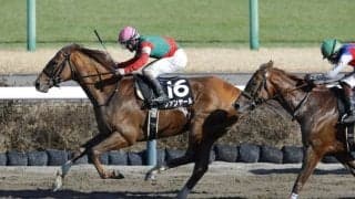 【総武S】ヴァンヤールが待望のオープン初勝利