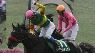 【阪神SJ】エコロデュエル、ジューンベロシティらが登録