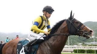 【金鯱賞】プログノーシス、デシエルトらが登録