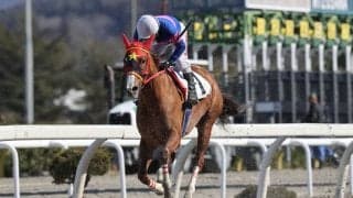 【岩手競馬】陶文峰調教師がデビュー、初戦は4着