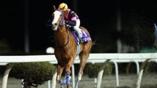 【水沢・スプリングカップ】ポマイカイが快勝…2歳最優秀馬が今季好発進