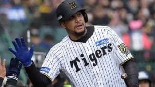 猛虎打線の“復活のカギ”を握るヘルナンデス　適応力と得点力アップへ期待できる理由