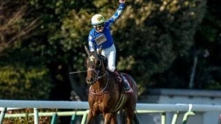 【弥生賞】売上は94億5652万6100円で昨年より約4億円増加