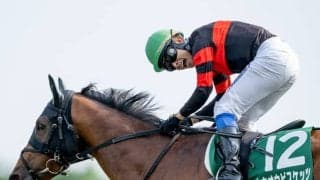 【金鯱賞見どころ】今年はGI制覇に向かうホウオウビスケッツ