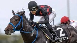 【スプリングS見どころ】競馬巧みなジェットマグナムが巻き返す