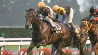 【25年の新種牡馬たち】「エアグルーヴ3×3」や「ディープ×ブラックタイドの全兄弟3×2」 キセキ産駒には強烈なクロス持つ馬も