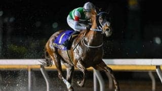 【船橋・ダイオライト記念枠順】連覇を狙うセラフィックコールは8枠12番