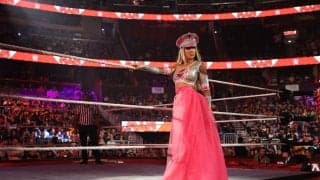 保護犬活動に熱心な美女レスラーが迎えた“新入り”が可愛すぎる…デカワンコ3匹に埋もれそうな“子猫”との家族写真に「みんな幸せそう」