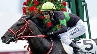【スプリングS想定騎手】キングスコールは藤岡佑介騎手、ピコチャンブラックは石橋脩騎手